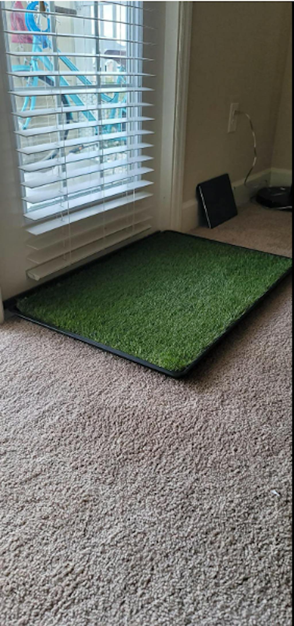 LOOBANI Large Grass Porch Potty Tray