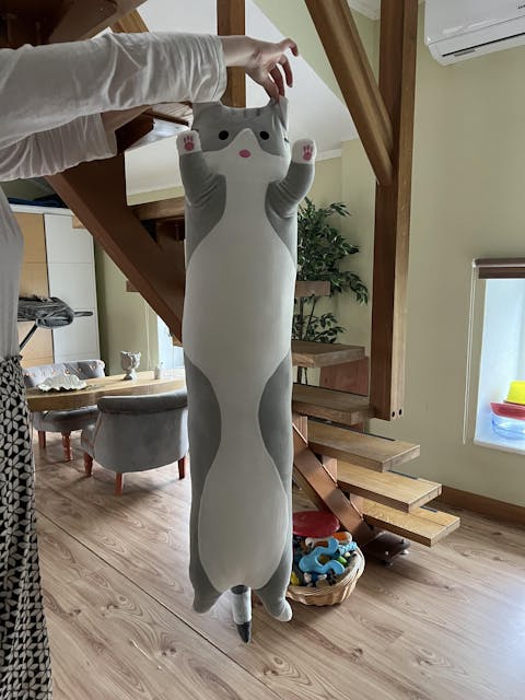 LoongMinka Big Plush Cat Pillow