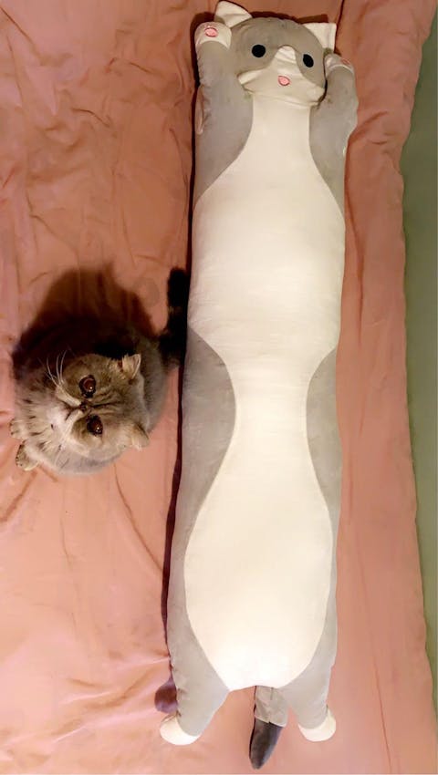 LoongMinka Big Plush Cat Pillow