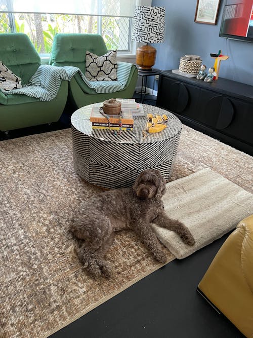 Claystone Vintage Look Rug