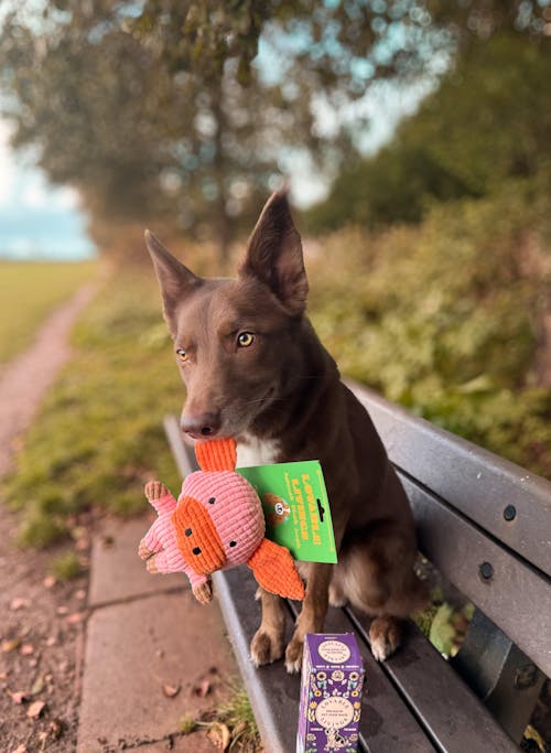 LOVABLE LIVINGS  100% Biodegradable & Compostable Dog Poop Bags - Purple - Lavender scented