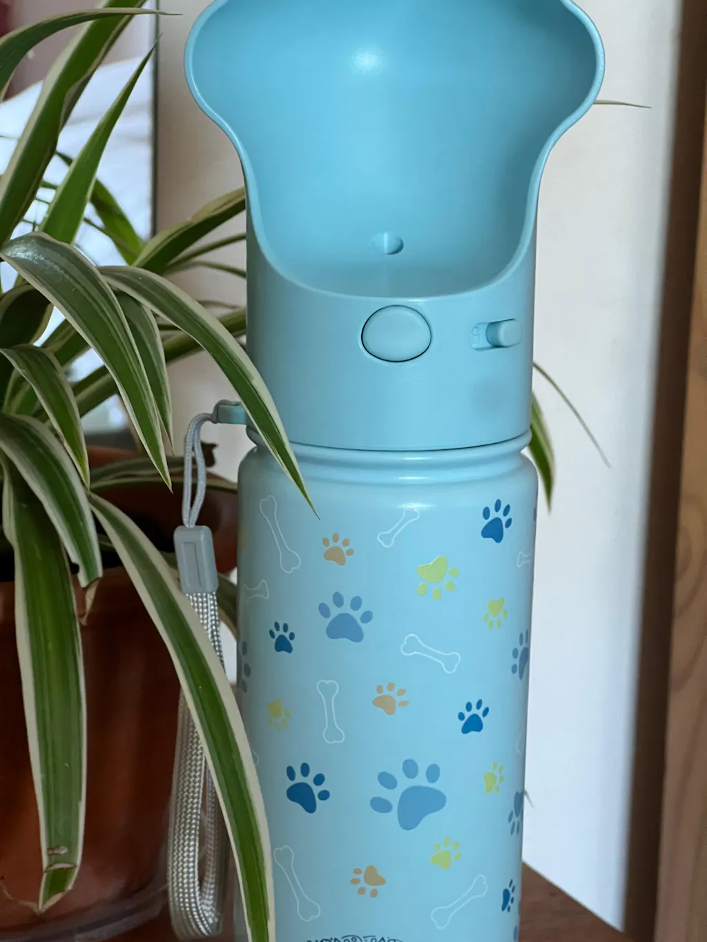 PAWRA – 18oz/530ml Premium Double Wall/Insulated Stainless Steel Dog Water Bottle With Carry Bag| Leak-Proof, Zero Waste, All-Season
