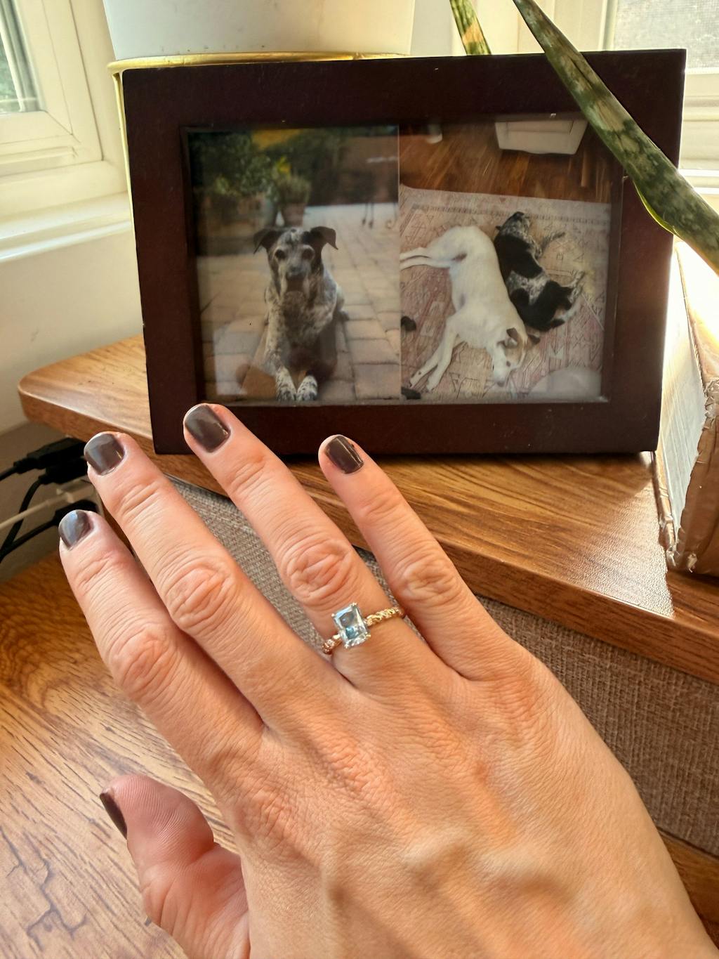 Twilight Whisper: Radiant Cut Moissanite Ashes Ring