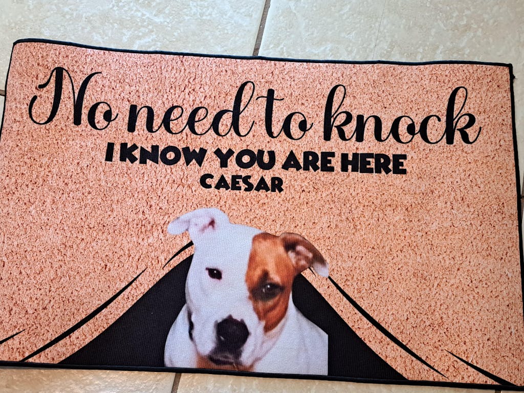 Personalized Pets Doormat Up to 6 Pets Decorative Mat Upload Pho