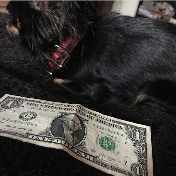 Custom Red Black Plaid Dog Collar