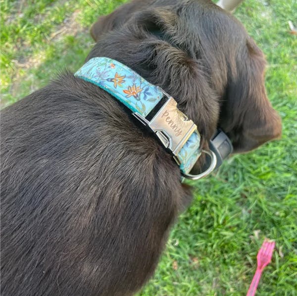 Custom Blue Flower Dog Collar