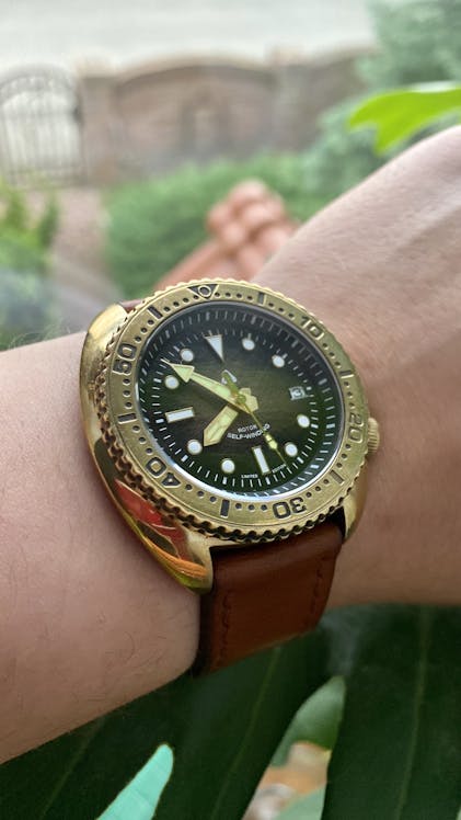 Bronze hotsell turtle seiko