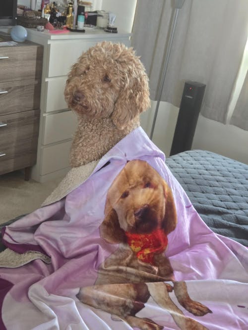 Lucky Dooby | One-of-a-Kind Gifts for Animal Lovers