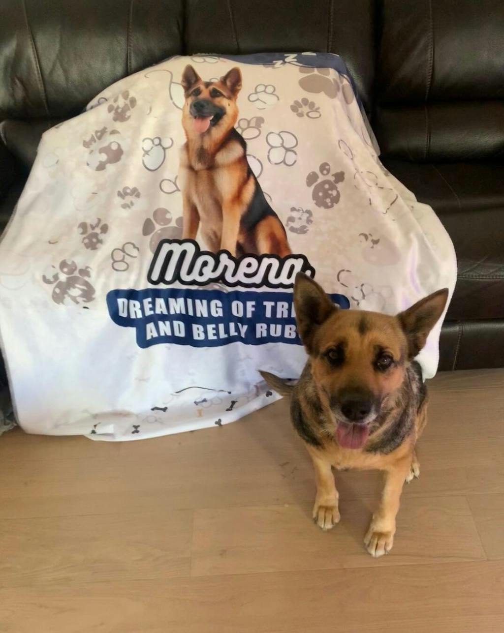 Teddy Sherpa Blanket - Dreaming of Treats and Belly Rubs