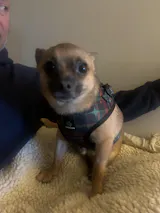 Welcome Home Gotcha Day Pack!