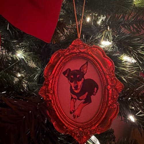 Personalized Pet Watercolor Frame Ornament