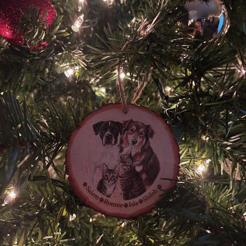 Personalized Hand-Painted Pet Portrait Ornament