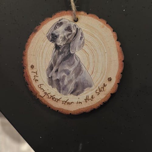 Personalized Hand-Painted Pet Portrait Ornament