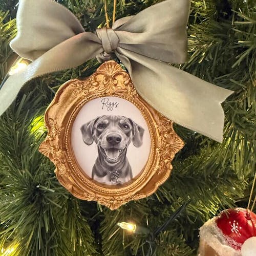 Personalized Pet Watercolor Frame Ornament