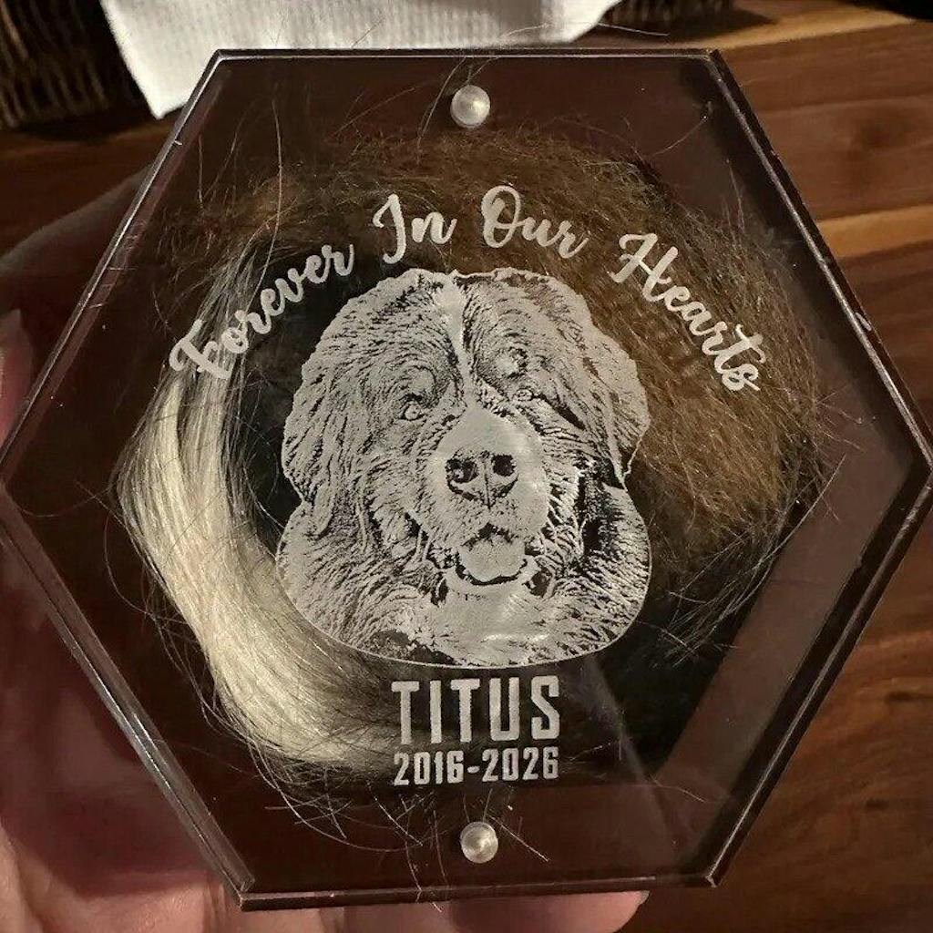 Personalized Wooden Pet Hair Keepsake Box