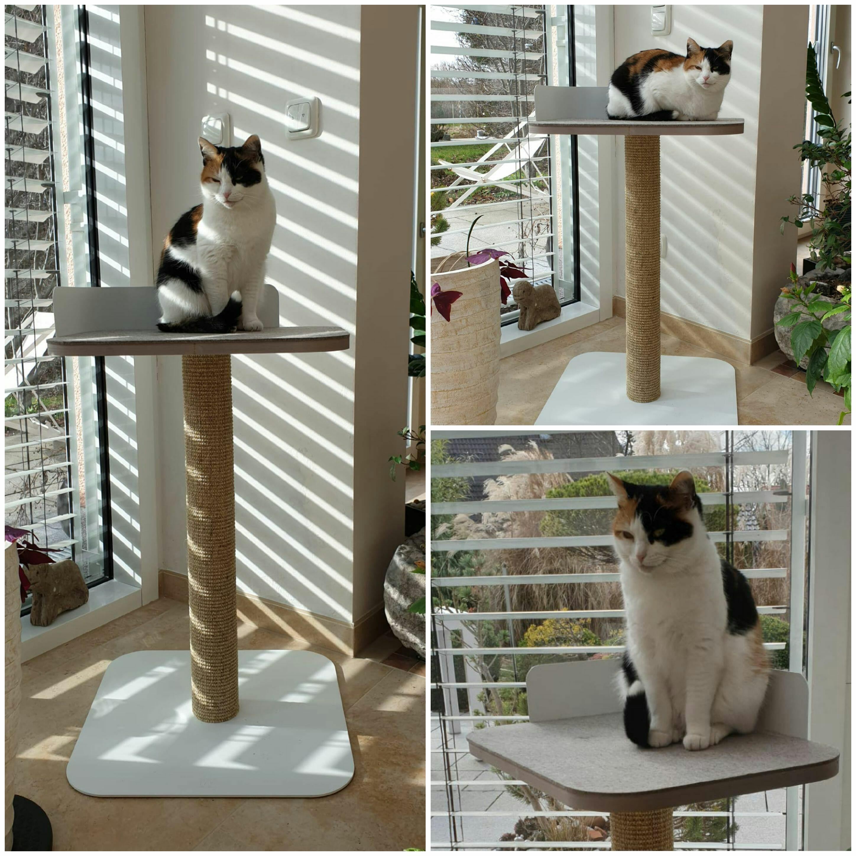 trendy cat scratching post