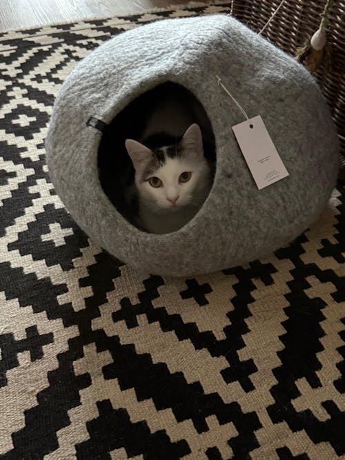 PEBBLE Katzenhöhle aus Filz