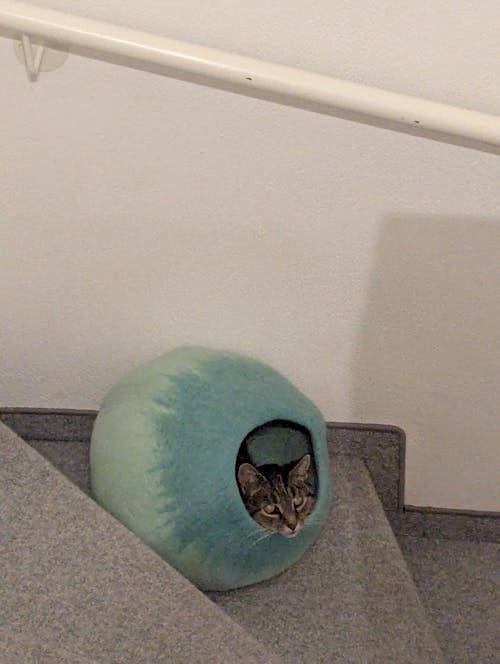 PEBBLE Katzenhöhle aus Filz