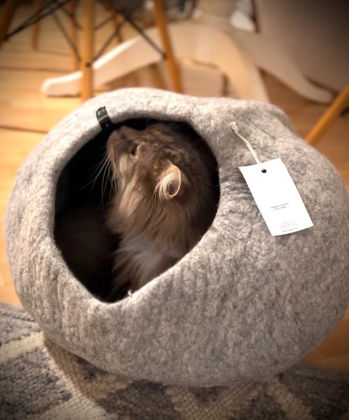 PEBBLE Katzenhöhle aus Filz