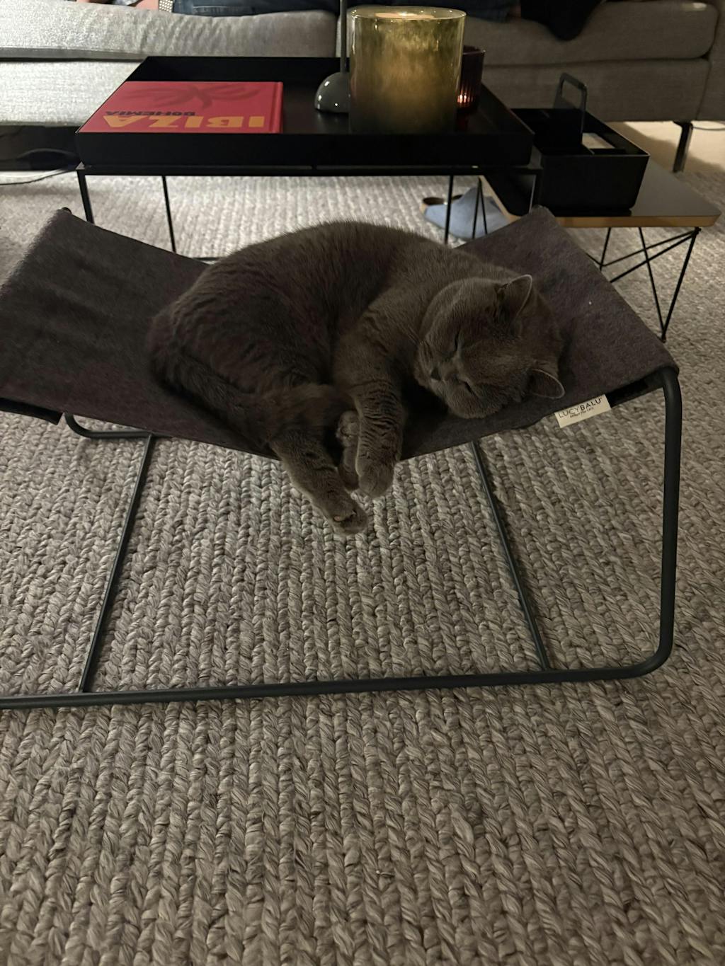 FLOAT Katzenhängematte