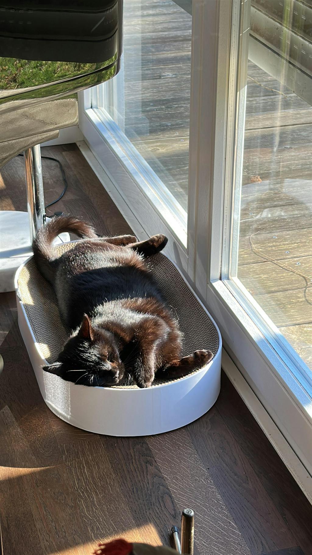 SCRATCHBED Kartonbett