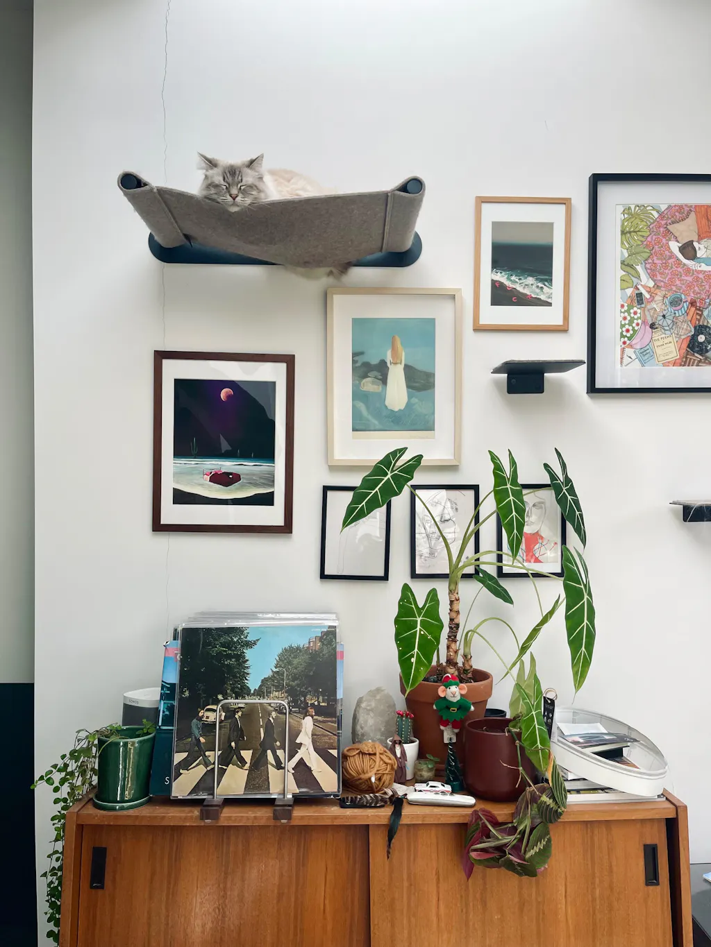 SWING Katzenhängematte