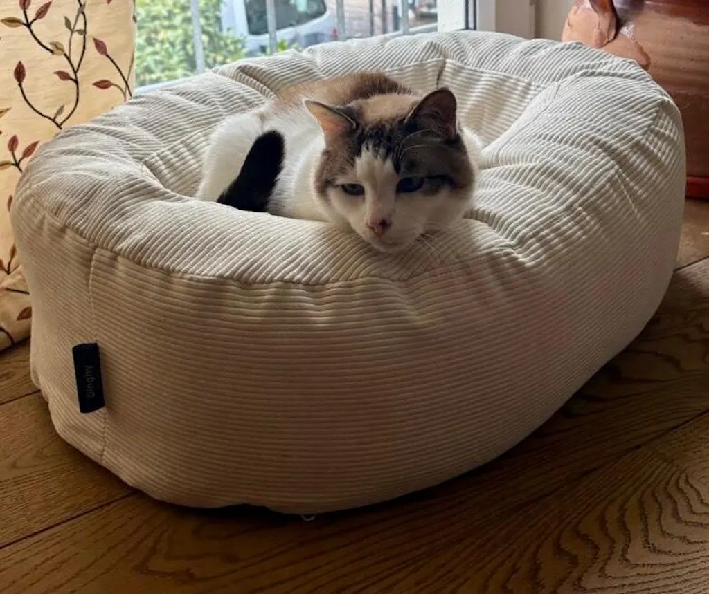 DINGHY Katzenbett