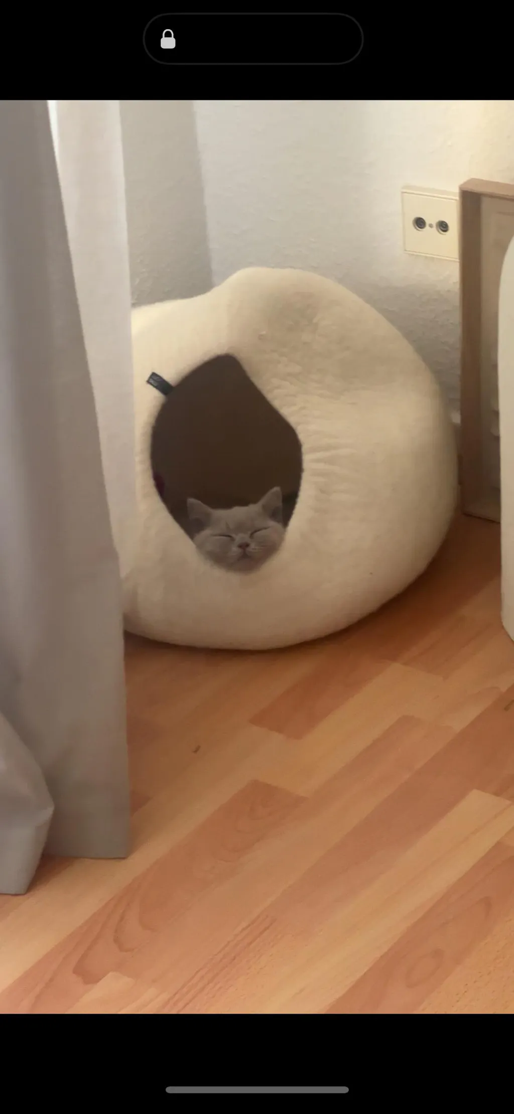 PEBBLE Katzenhöhle aus Filz