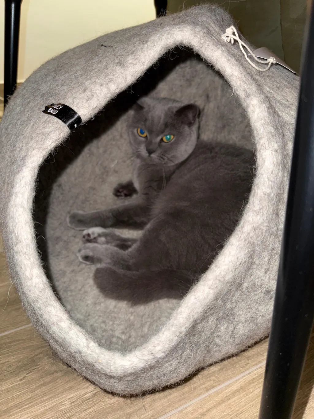 PEBBLE Katzenhöhle aus Filz