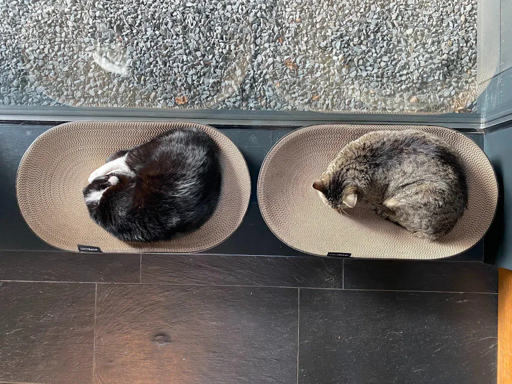 SCRATCHBED Kartonbett