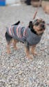 Hundepullover Grey Hexagon aus Alpakawolle