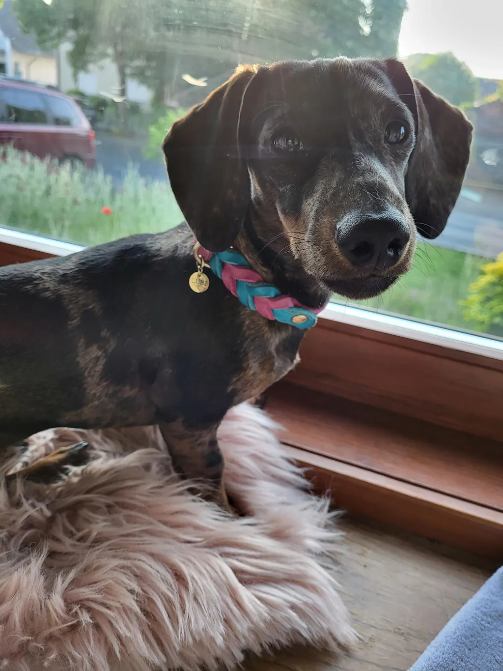 Halsband „Side by Side“