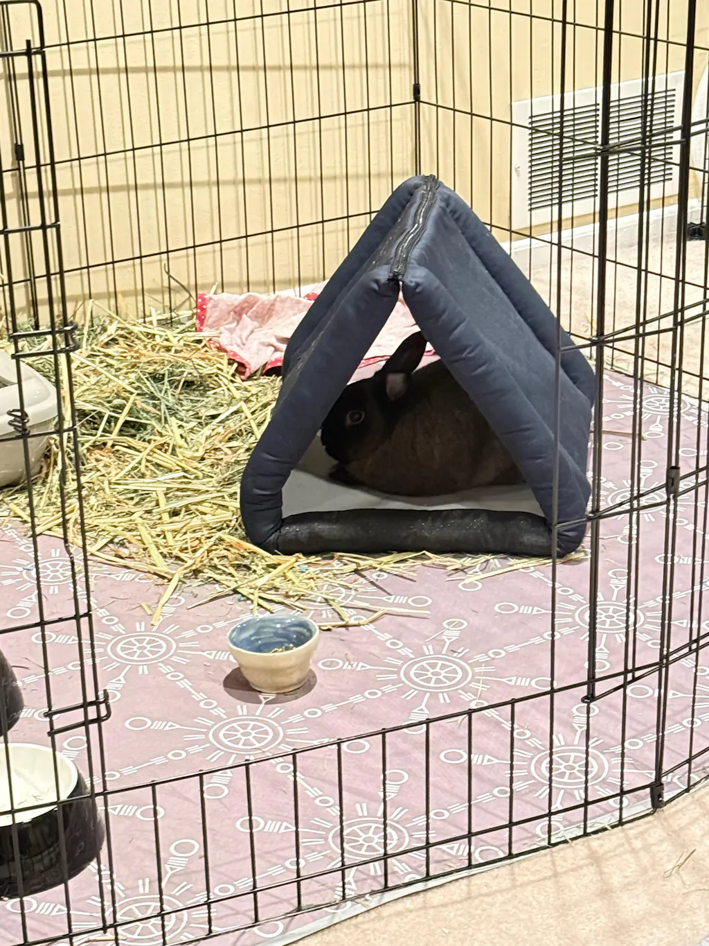 View of 5-Piece Fleece Bedding Set – Perfect for Guinea Pigs, Rabbits, Dogs ...