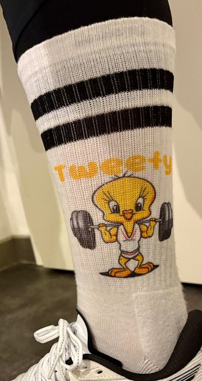 TWEETY - SOCKEN