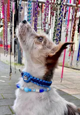 EM-Keramik-Perlen Schmuckhalsband