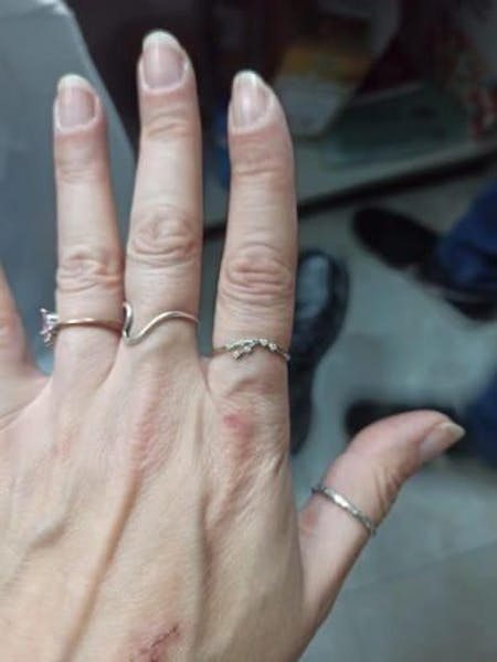 Costellations - Bagues Signes du Zodiaque en Argent