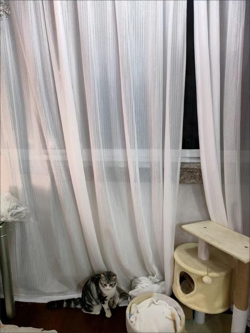 Cat Proof Sheer Curtains PetFriendly Scratch Proof Lumos Curtains