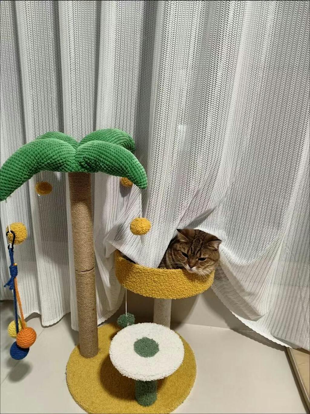 Cat Proof Sheer Curtains PetFriendly Scratch Proof Lumos Curtains