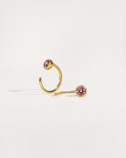 Vivra Hoop Earrings