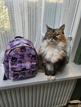 Gengar and Friends Ghost Pokemon Mini Backpack