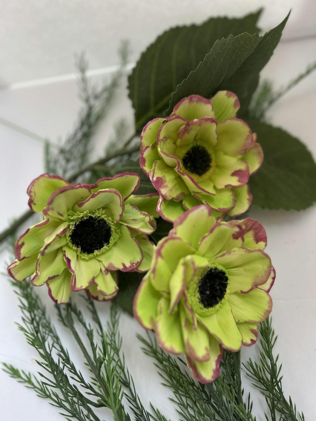 Sola Wood Flowers Sola Flower 3.0" Random Assortment Raw 50 Pack