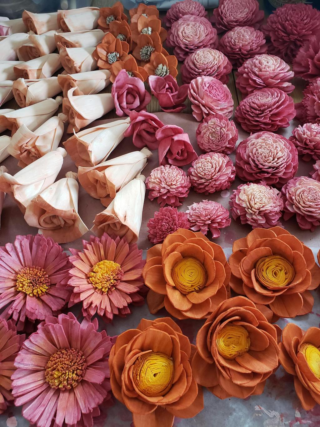 Sola Wood Flowers Sola Flower 3.0" Random Assortment Raw 50 Pack