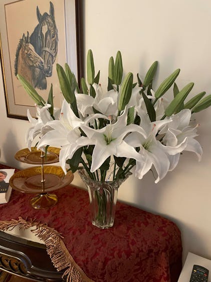 Real Touch Asiatic Lily - White - Luv Sola Flowers