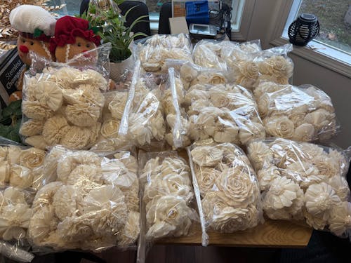 Sunset Beauty - 1 Dozen