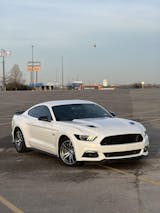 User picture