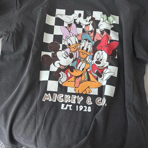 Mickey Co Est 1928 Friends 0002