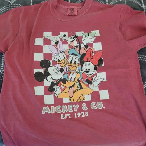 Mickey Co Est 1928 Friends 0002