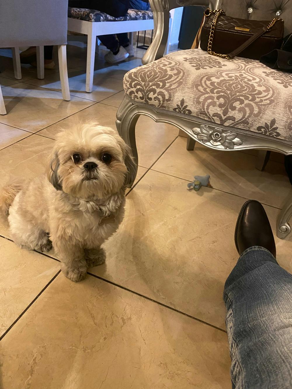 NEW CLASSIC ANKLE BOOTS