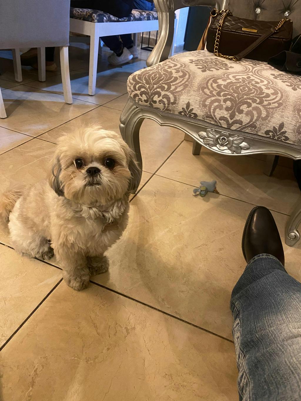 NEW CLASSIC ANKLE BOOTS