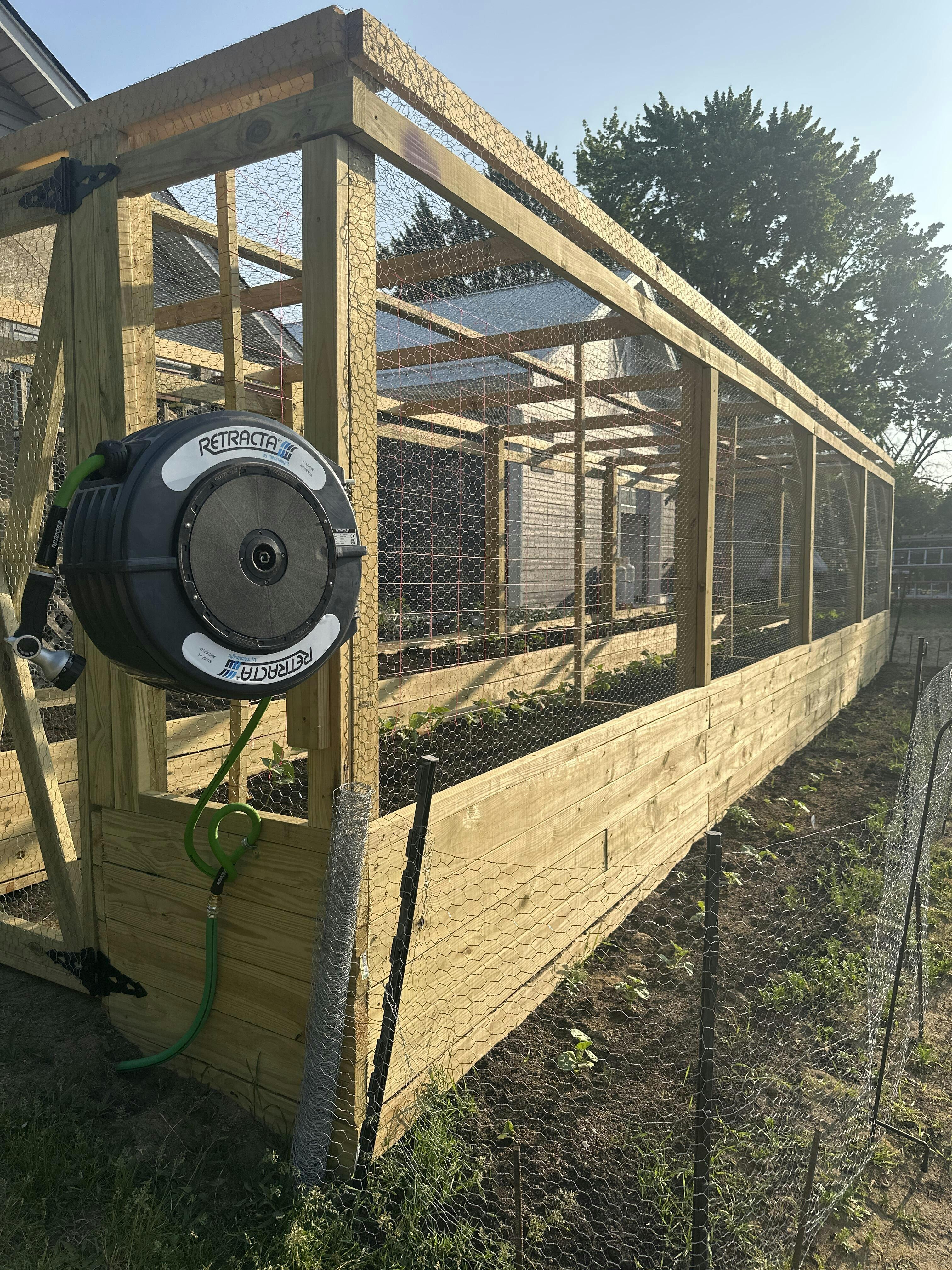 Berry Garden Hose Pipe, 50 Meter | 1/2 Inch Diameter Green Kink Resistant Radial Braided Reinforced Hose For Outdoor Use And Gardening